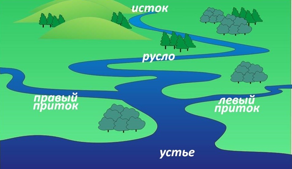 Как рыбачить на донку с берега