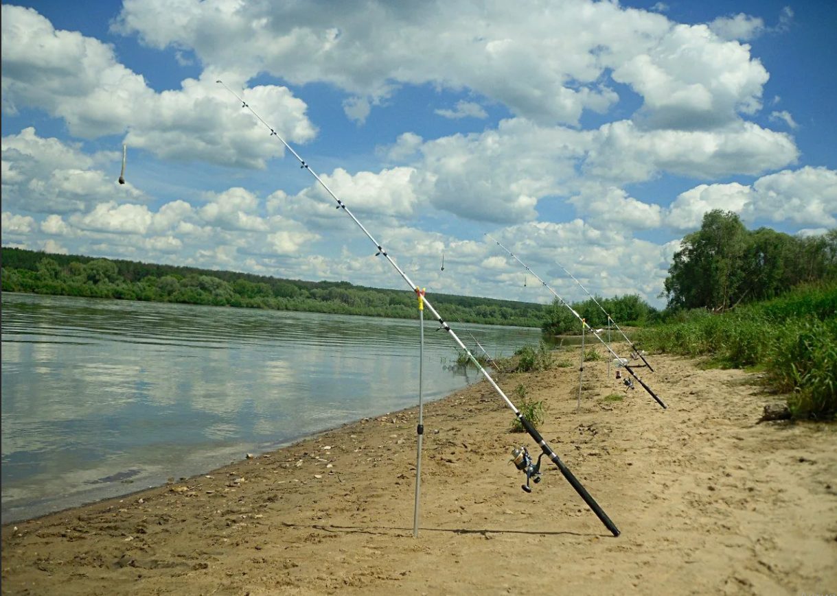 Фото донка кс. Ловить на донку. Донка для рыбалки. Донка для рыбалки на озере. Фидер на реке.